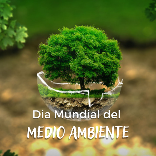 5 de Junio: Día Mundial del Medio Ambiente