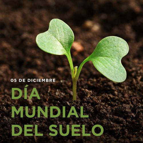 05 DE DICIEMBRE: DÍA MUNDIAL DEL SUELO
