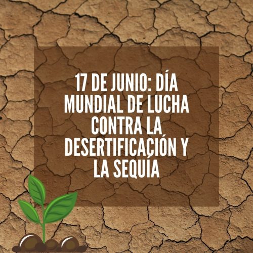 17 de junio: Día Mundial de Lucha contra la Desertificación y la Sequía