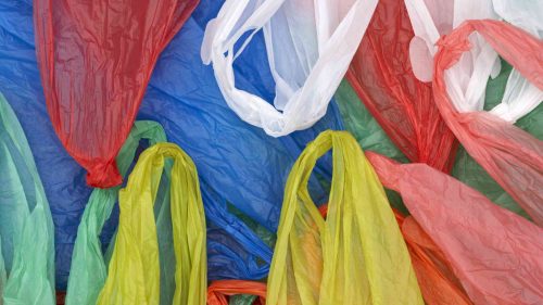 03 DE JULIO: DIA INTERNACIONAL LIBRE DE LAS BOLSAS PLÁSTICAS