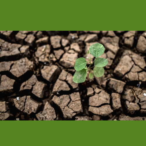 26 DE MARZO: DÍA MUNDIAL DEL CLIMA