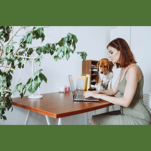 EL IMPACTO DEL TRABAJO HÍBRIDO EN LA PRODUCTIVIDAD Y EL BIENESTAR