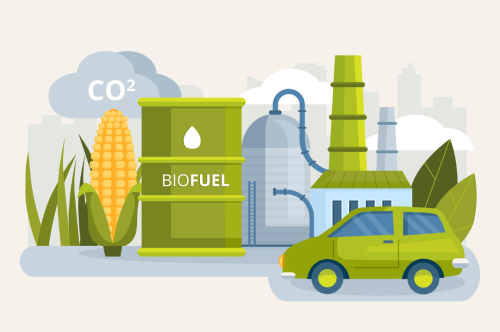 Biocombustibles: qué son, tipos, ventajas y desventajas