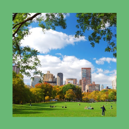 20/11: Día Mundial del Aire Puro