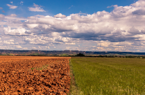 5 de diciembre: Día Mundial del Suelo